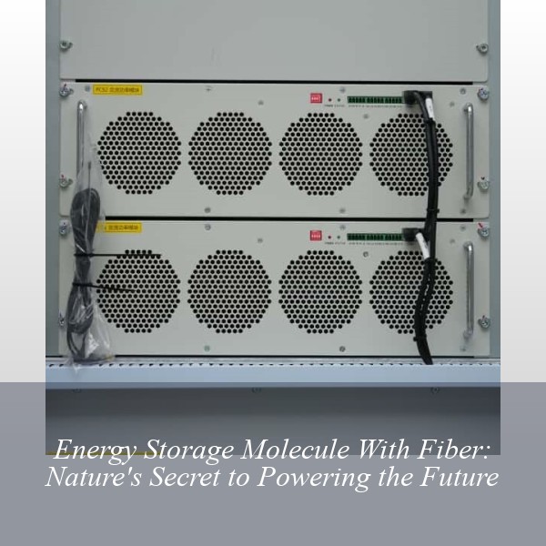 Energy Storage Molecule With Fiber: Nature's Secret to Powering the Future